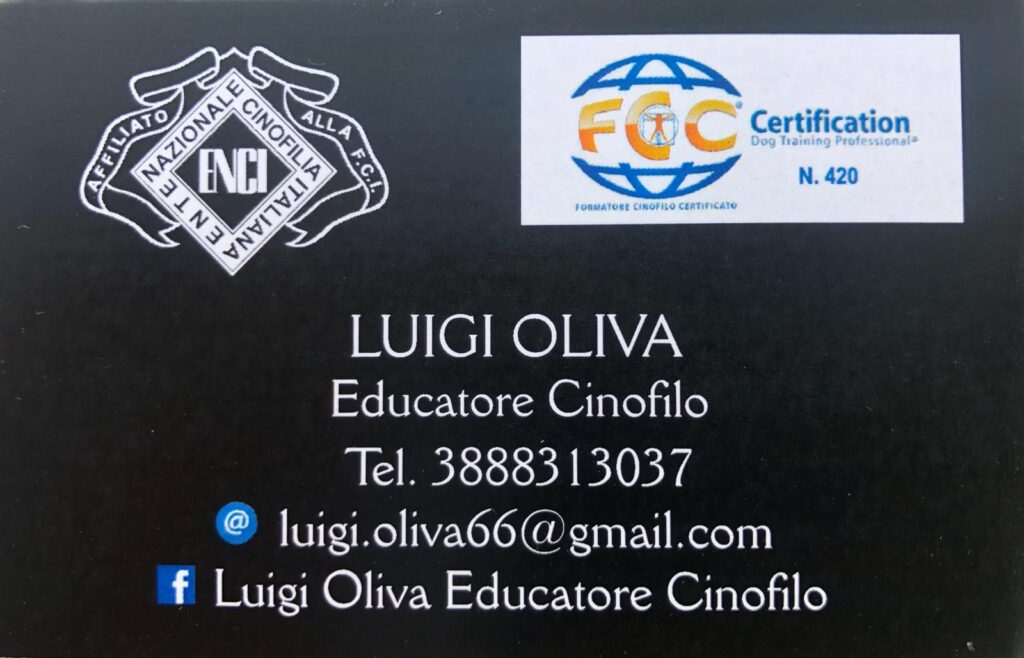 COLLABORAZIONI