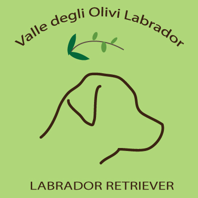 Valle degli Olivi Labrador
